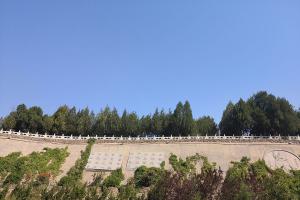 公墓墓区景观