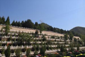 公墓墓区绿化