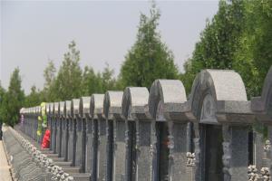 墓区景观图