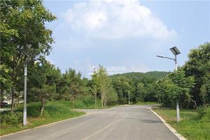 道路景观