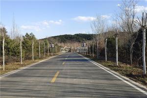 道路景观