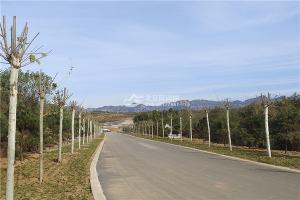 道路景观