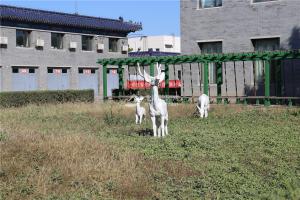 雕塑景观