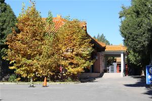 停车场