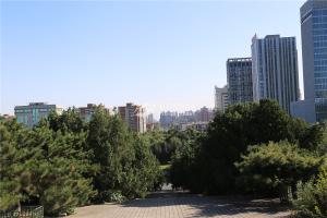 景观实拍