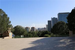 景观实拍