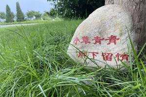 温馨提醒标语