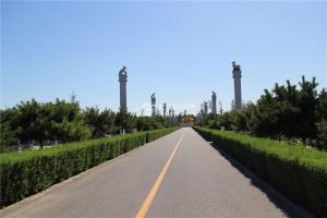 道路绿化