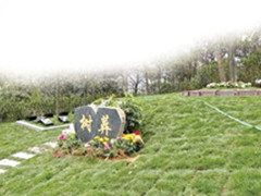 北京树葬陵园有哪几家,北京周边的也可