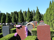 福田公墓价格表