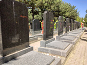 延庆区都有哪些墓地