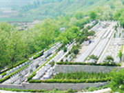 怀柔凤凰山墓地价位