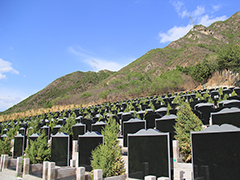 昌平十三陵景仰园现在能烧纸吗?