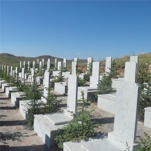 公益墓区立碑01