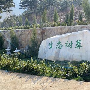 东二区家庭树葬