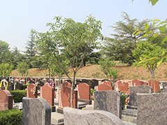 北京静安公墓咨询电话多少？静安公墓地址位置在哪里？