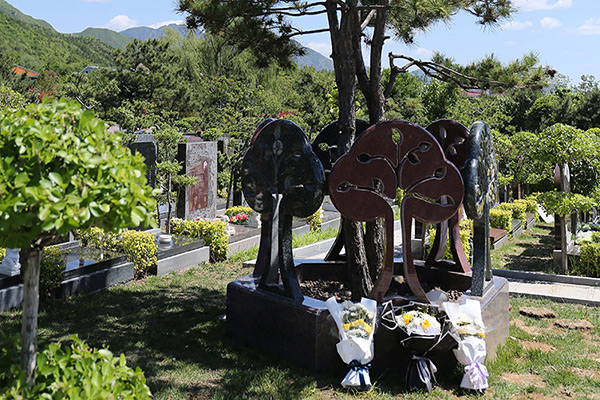 北京市哪里有生态葬树葬花葬墓园？北京合法树葬陵园有哪些？
