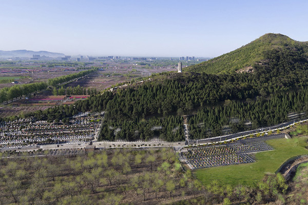 平谷区树葬墓地有哪些？平谷区树葬墓地价格多少钱？