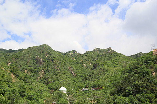 九公山长城纪念林价格行情怎样？九公山长城纪念林价格表2025