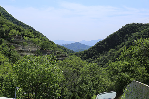 九公山长城纪念林有哪些墓型可选？什么价位？