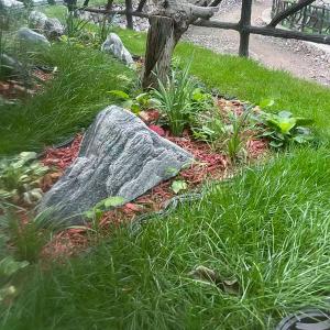 福泽园生态树葬