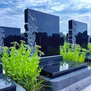 中华2号园E甲区合韵