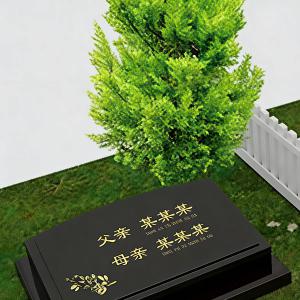 义兴苑生态树葬