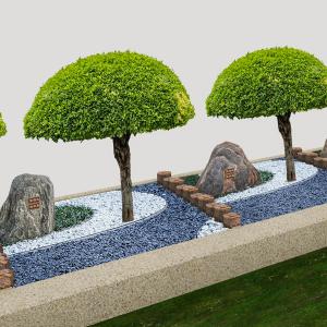 福泽园树葬林芸