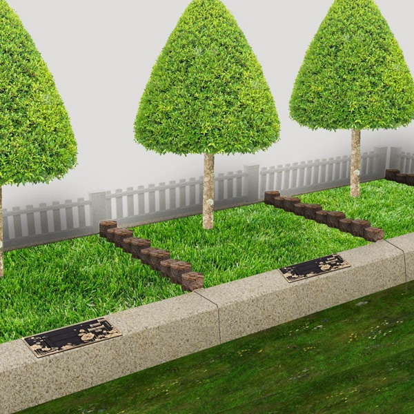 福泽园树葬翠影