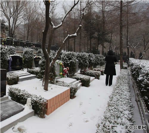 十区扫雪