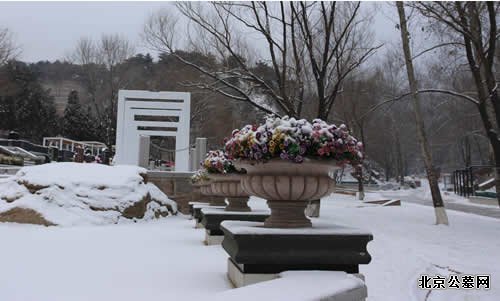园区雪景