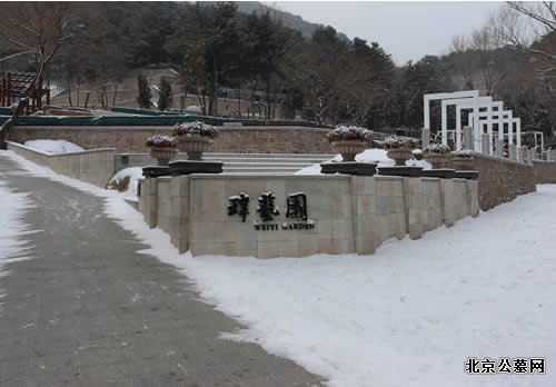 十一区雪景