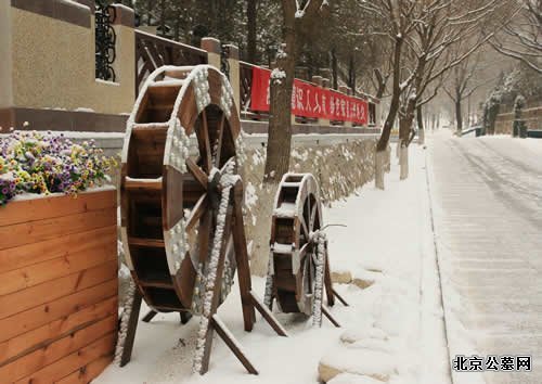 园区扫雪