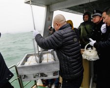 山东778名逝者魂归大海 绿色殡葬渐成新风（组图