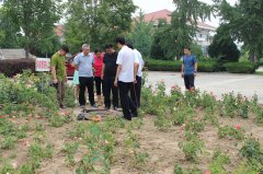 顺义区民政局副局长带队检查潮白陵园安全工作