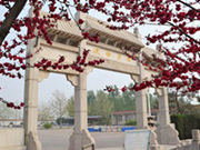 高静园公墓在什么位置,路线有人晓得吗