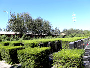 福田公墓怎么样