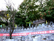 北京市金山陵园怎么样