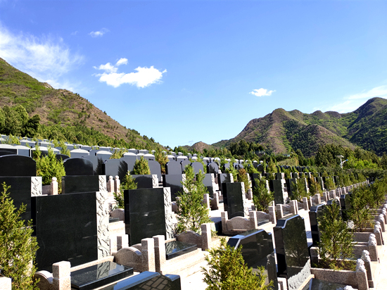 坟墓
