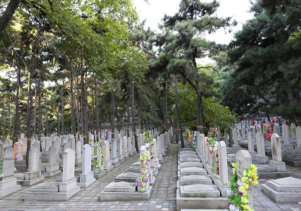 金山陵园公墓