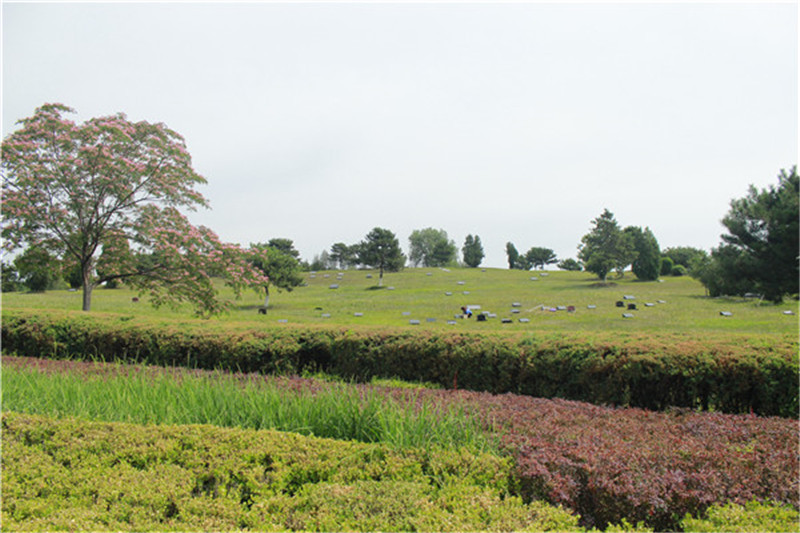 华龙皇家陵园景观