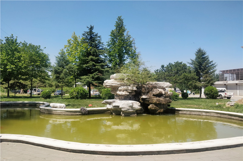 万桐园景观