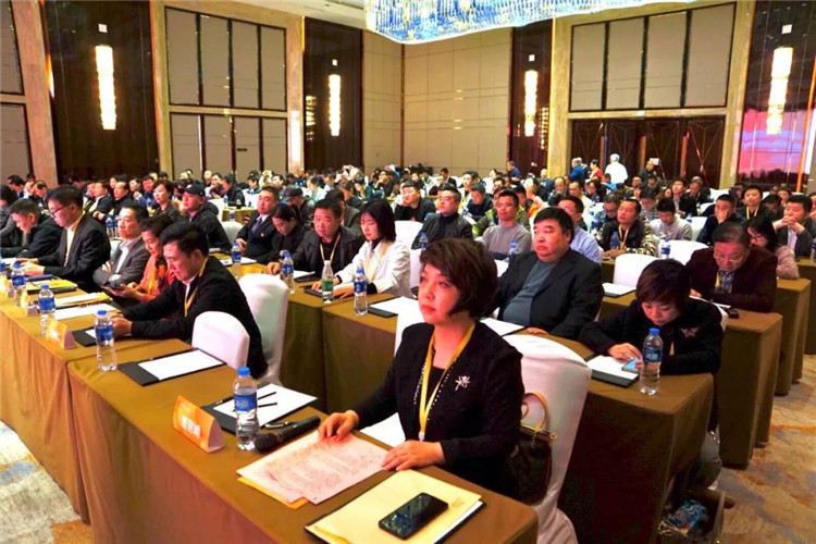 协会成员聆听领导报告