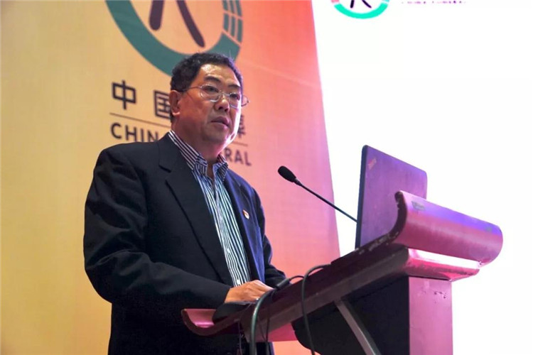 中国殡葬协会会长李建华发表讲话