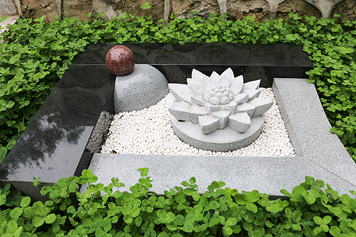 莲田入梦
