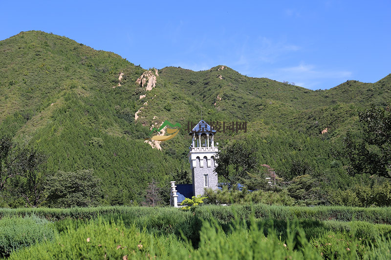 天寿陵园墓区环境