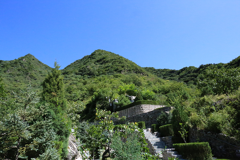 功泽园景观