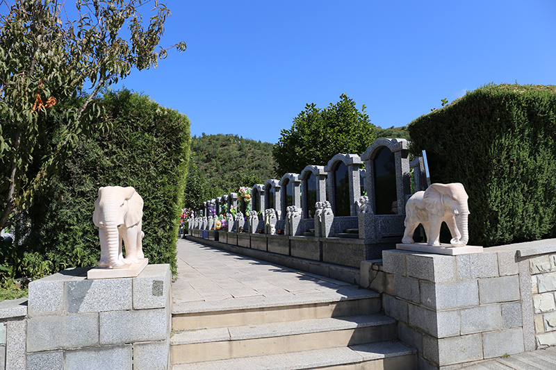 天山陵园环境