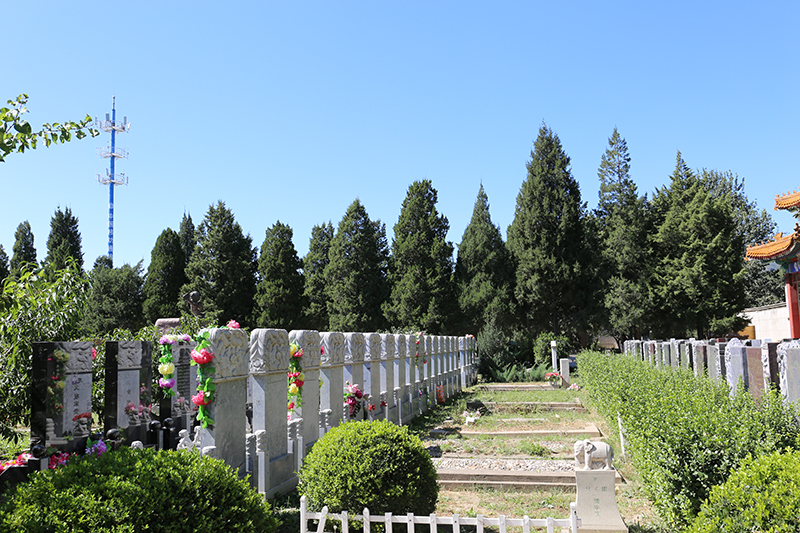 福田公墓墓区环境