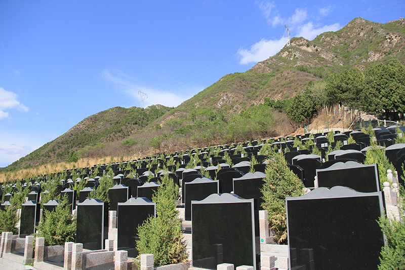 十三陵景仰园墓区环境